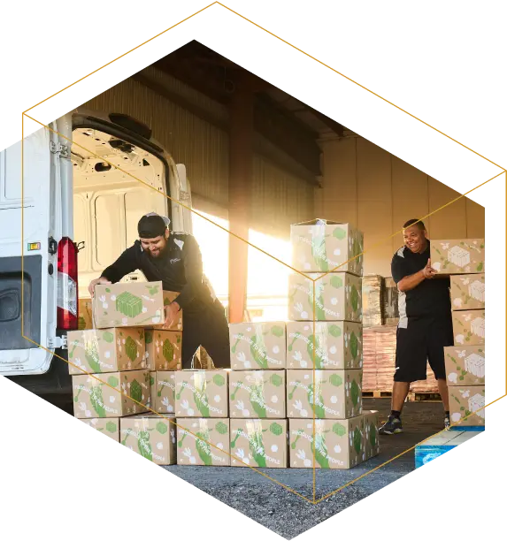 Imagen Supporting Americans in Need Project Food Box